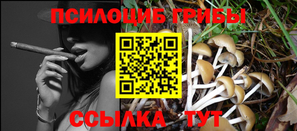 как найти закладки  Вход с VPN  Отрадный  Галлюциногенные грибы мицелий 