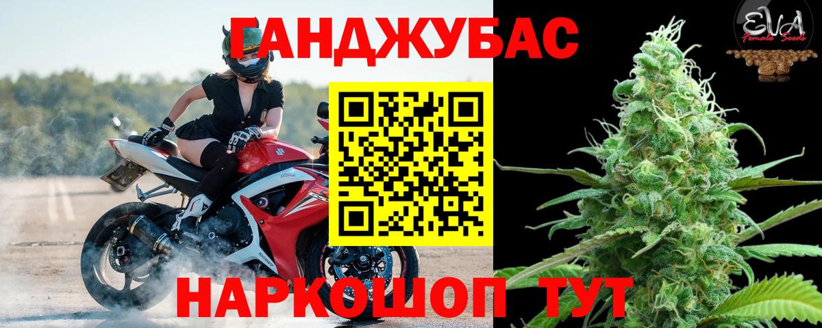 Канабис план Отрадный